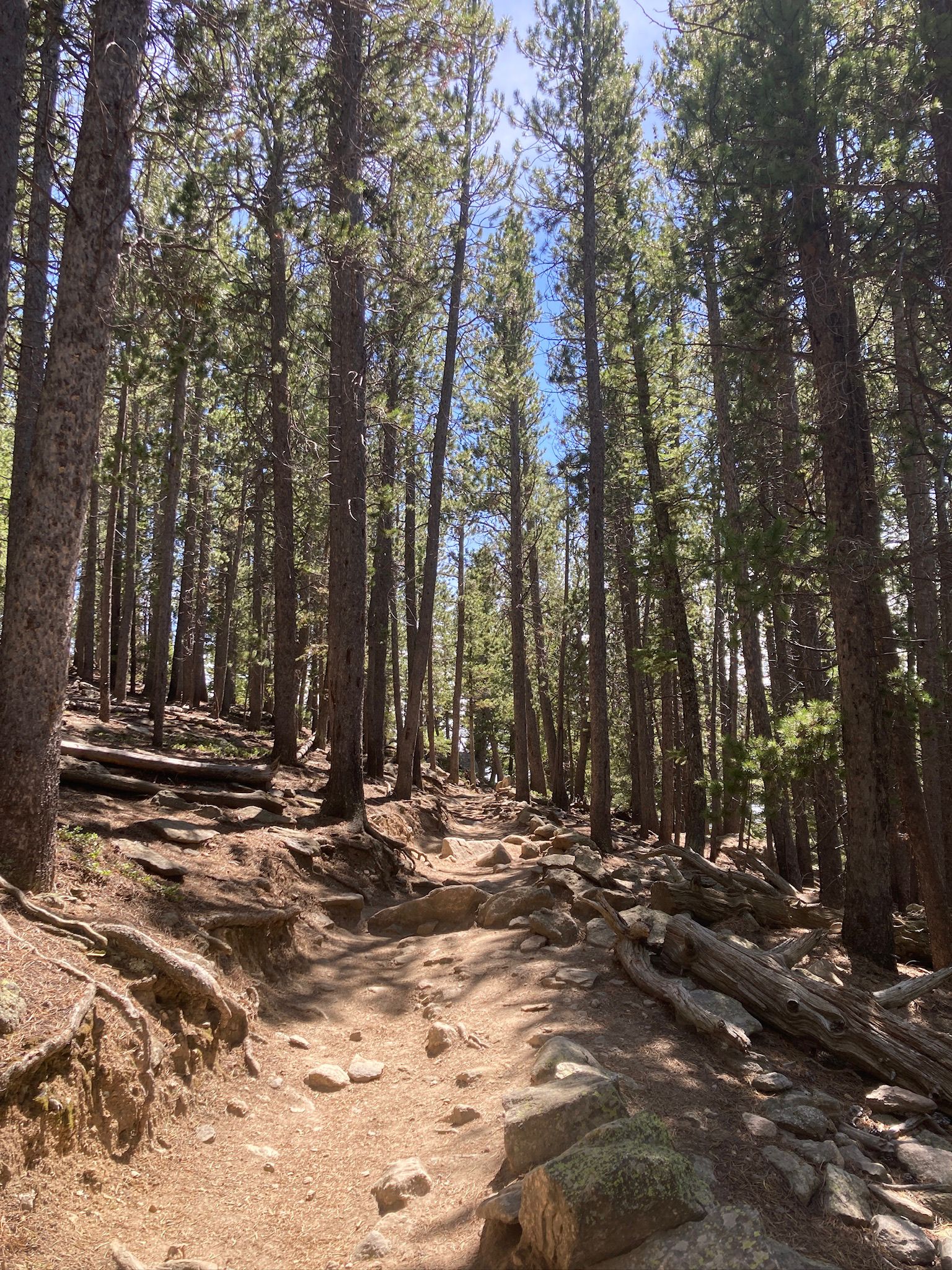 IMG-20250807-WA0013